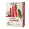 Confezione Scoperta Aveda Nutriplenish™ Deep - Trattamento Profondo per Capelli -Negozio al dettaglio [ Aveda] 2022 Aveda Cofanetti Discovery set nutriplenish deep