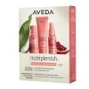 Aveda Discovery Set Nutriplenish™ Light Cofanetto Trattamento Capelli - Set Completo per Capelli Idratati e Luminosi -Negozio al dettaglio [ Aveda] 2022 Aveda Cofanetti Discovery set nutriplenish light