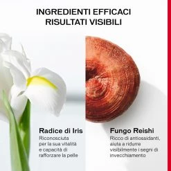 Shiseido Ultimune Power Infusing Concentrate Siero - Trattamento Viso Rinnovatore -Negozio al dettaglio [ Aveda] 2022 Shiseido Sieri Ultimune Power Infusing Concentrate 8