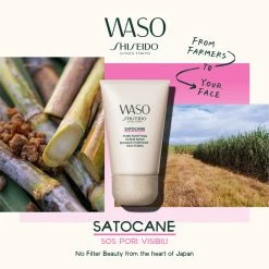 Shiseido Waso Pore Purifying Scrub Mask Maschera - Trattamento Detergente Purificante per Pori -Negozio al dettaglio [ Aveda] 2022 Shiseido WASO Waso Pore Purifying Scrub Mask 5