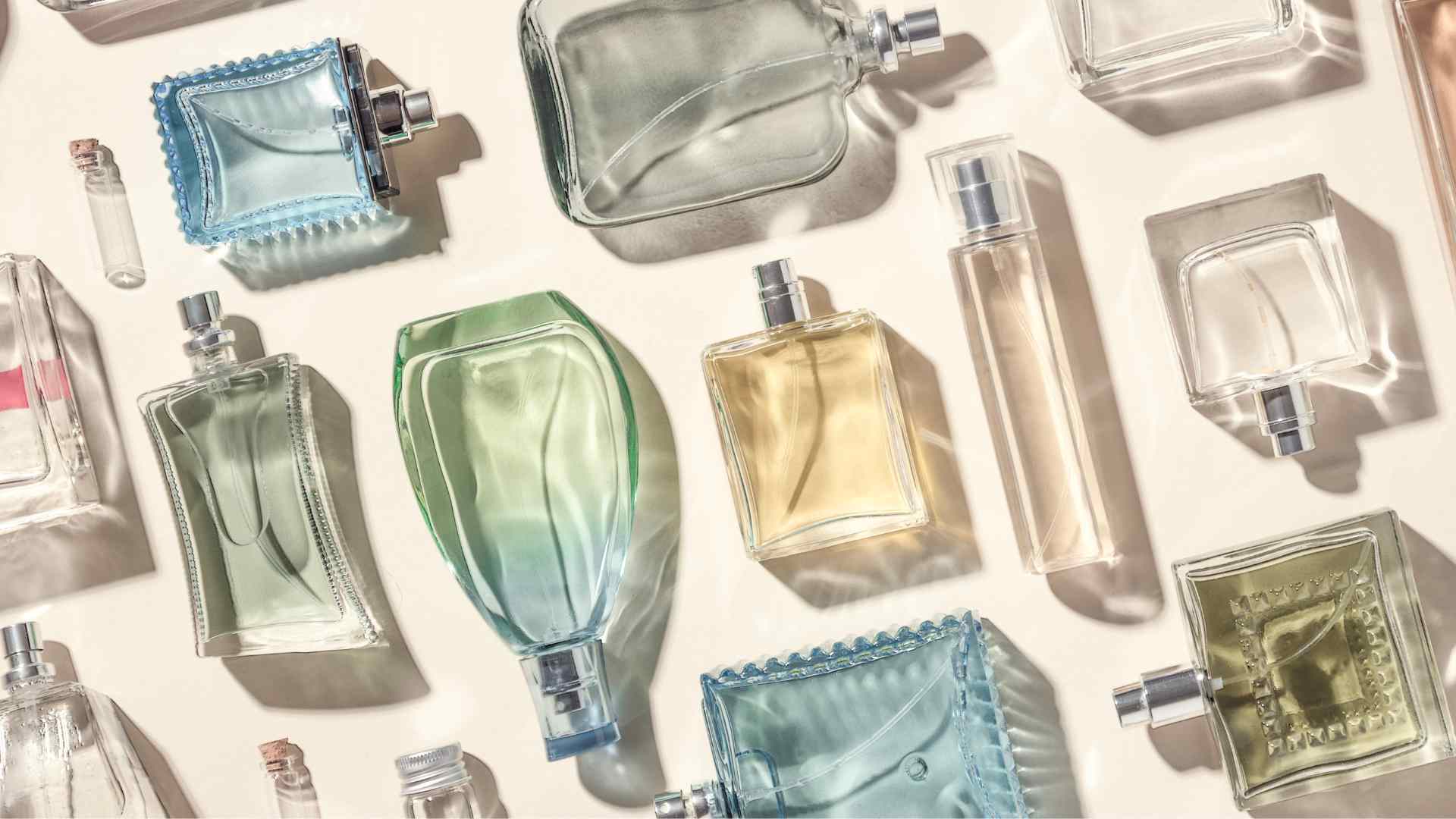 Negozio al dettaglio [ Aveda] 2022 -Negozio al dettaglio [ Aveda] 2022 image3 d745cfc9 bd3a 4194 837c d9972b60cd0a